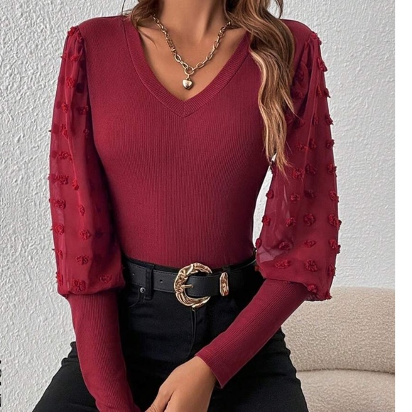 Fitted V neck Swiss Dot Puff Sleeve Top - Picture 3 of 10